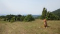 /album/a6-12-mesiacov/a20120902-img-2869-1000x563-jpg/